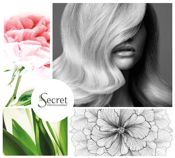 Phyto Secret Pro