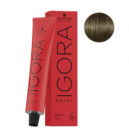 Permanente Coloration Igora Royal Cools 6-31 Dunkelblond Matt Aschblond Schwarzkopf