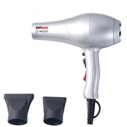 Rigato-2 Ionic Silver Promex Haartrockner