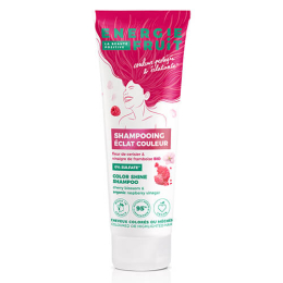 Shampoo Glanz & Schutz Himbeeressig Energie Fruit